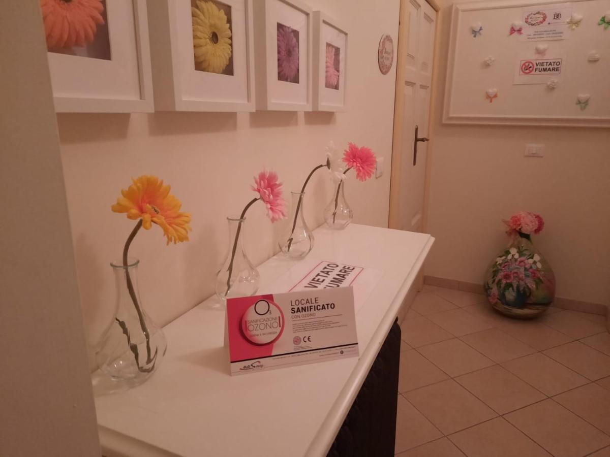 B&B Bouquet Di Fiori Penne Εξωτερικό φωτογραφία